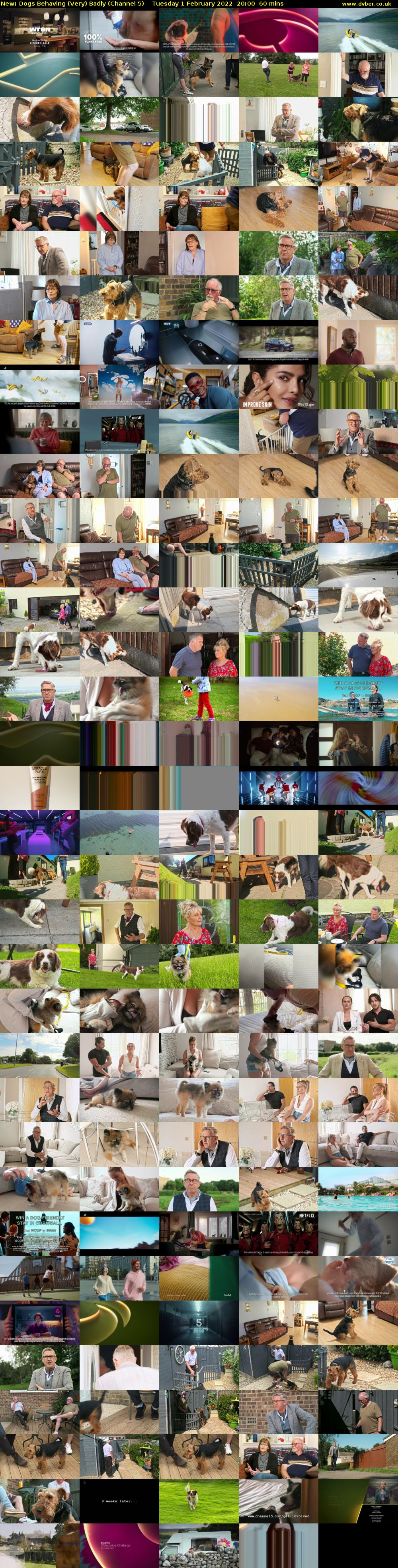 Dogs Behaving (Very) Badly (Channel 5) Tuesday 1 February 2022 20:00 - 21:00