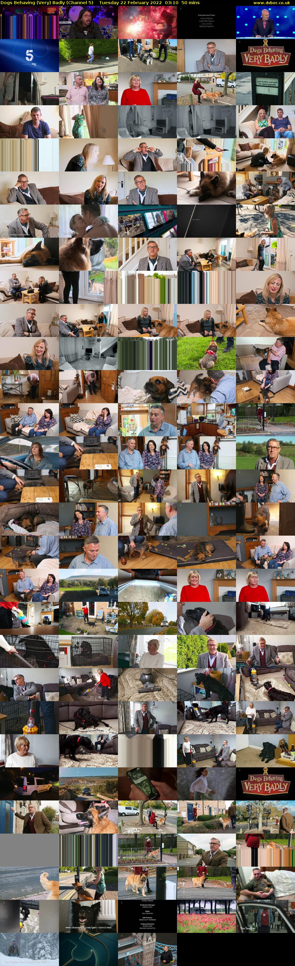 Dogs Behaving (Very) Badly (Channel 5) Tuesday 22 February 2022 03:10 - 04:00