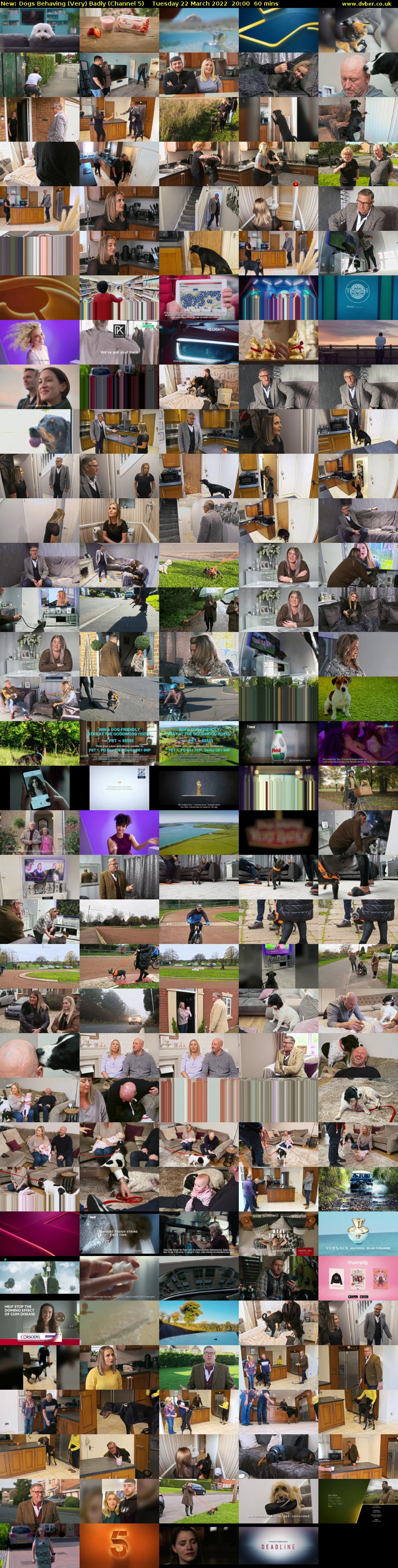 Dogs Behaving (Very) Badly (Channel 5) Tuesday 22 March 2022 20:00 - 21:00