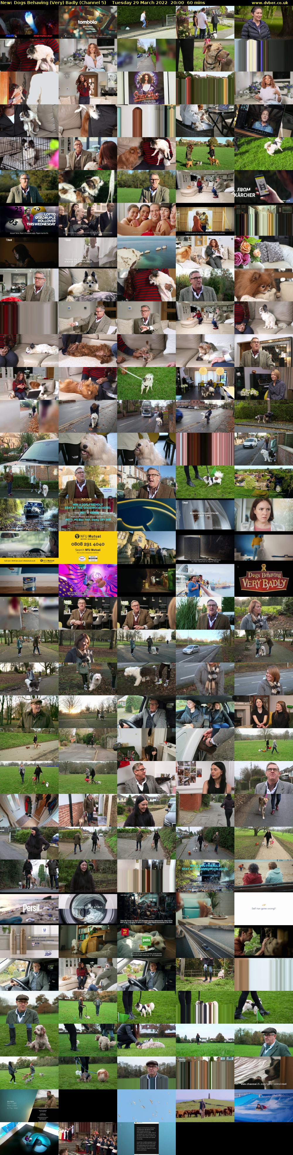 Dogs Behaving (Very) Badly (Channel 5) Tuesday 29 March 2022 20:00 - 21:00