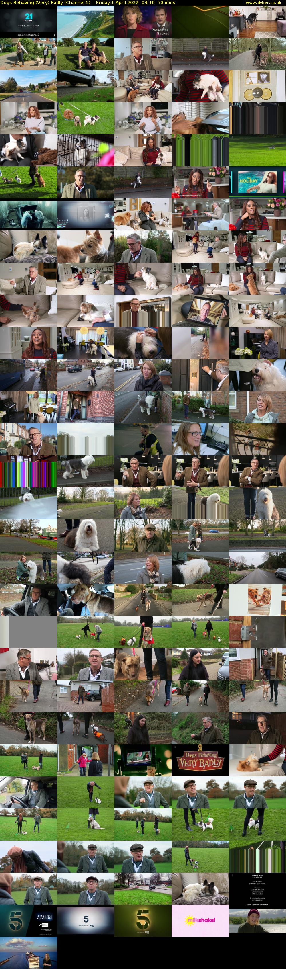 Dogs Behaving (Very) Badly (Channel 5) Friday 1 April 2022 03:10 - 04:00