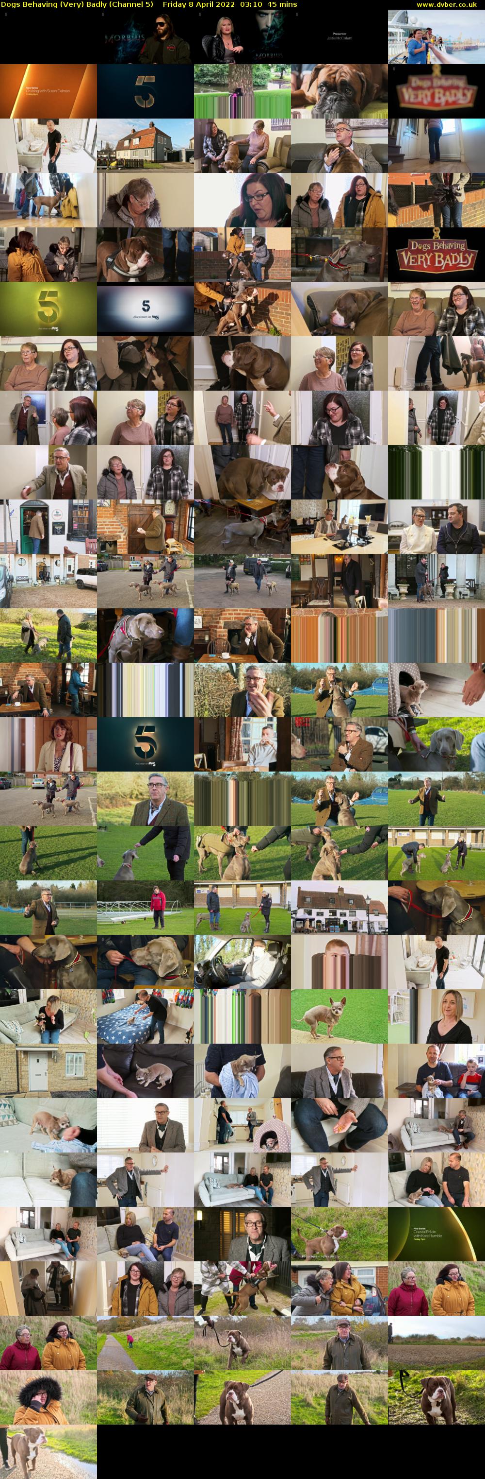 Dogs Behaving (Very) Badly (Channel 5) Friday 8 April 2022 03:10 - 03:55