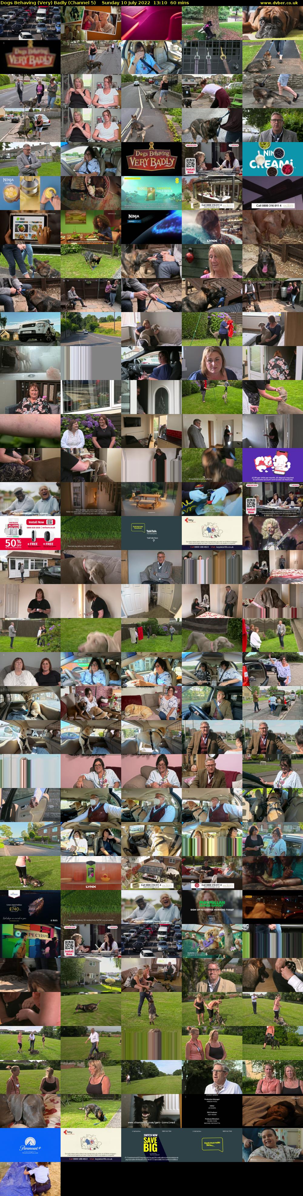 Dogs Behaving (Very) Badly (Channel 5) Sunday 10 July 2022 13:10 - 14:10