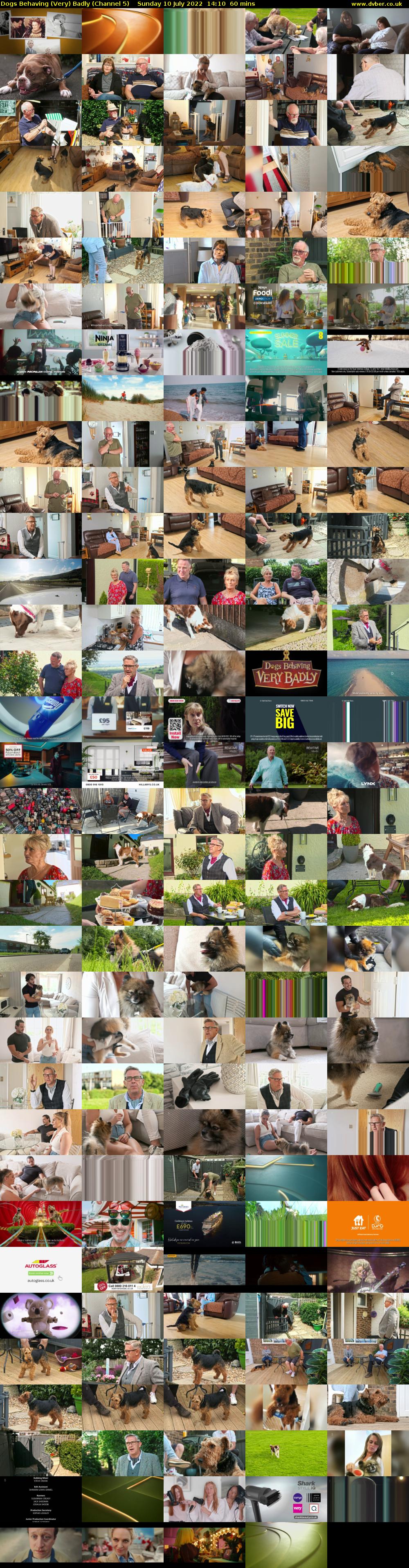 Dogs Behaving (Very) Badly (Channel 5) Sunday 10 July 2022 14:10 - 15:10