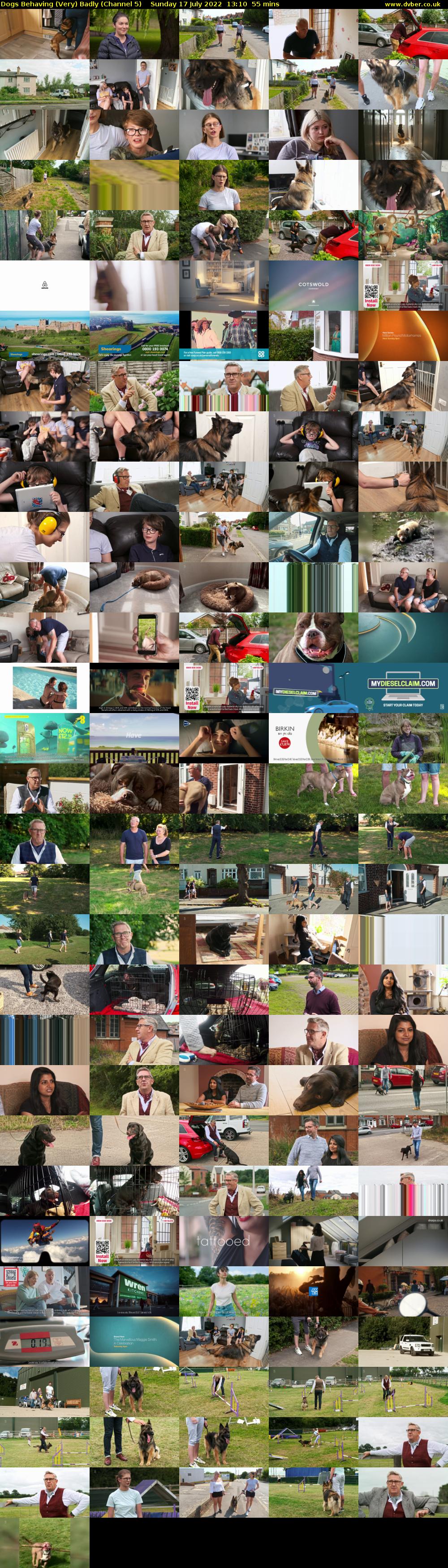 Dogs Behaving (Very) Badly (Channel 5) Sunday 17 July 2022 13:10 - 14:05