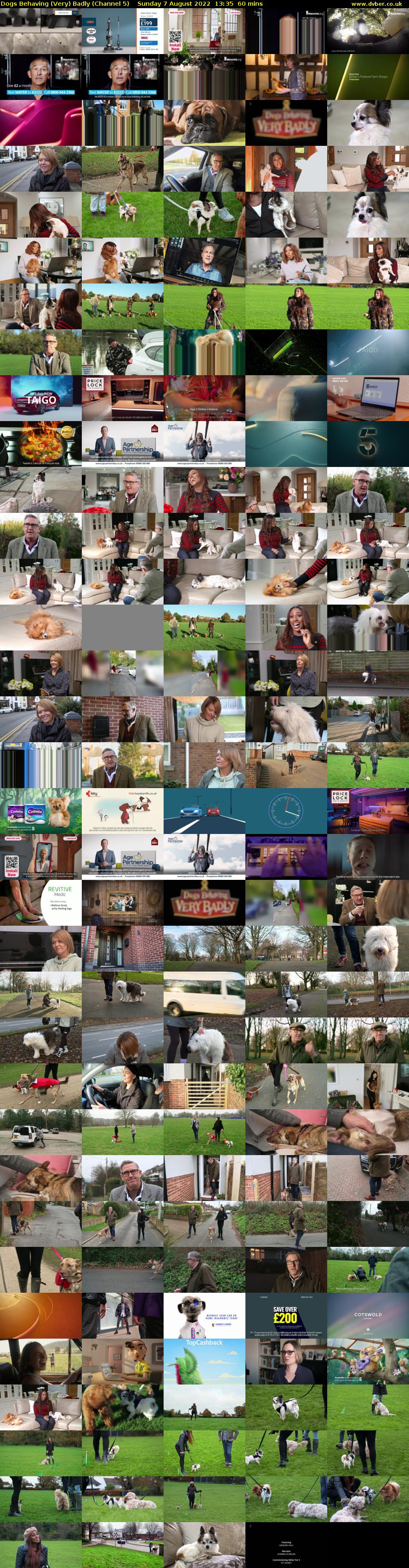 Dogs Behaving (Very) Badly (Channel 5) Sunday 7 August 2022 13:35 - 14:35