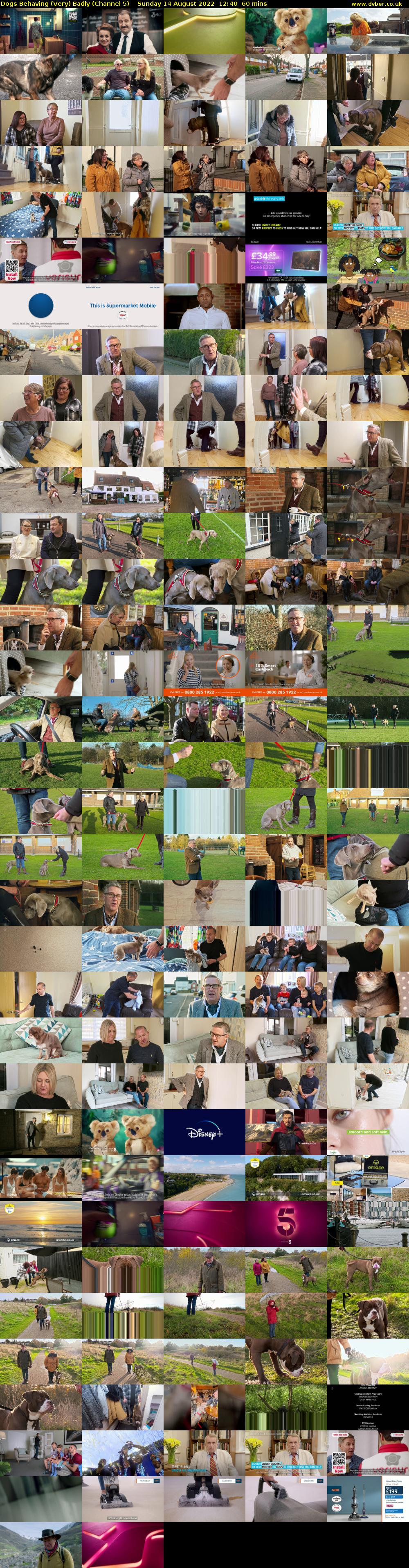 Dogs Behaving (Very) Badly (Channel 5) Sunday 14 August 2022 12:40 - 13:40