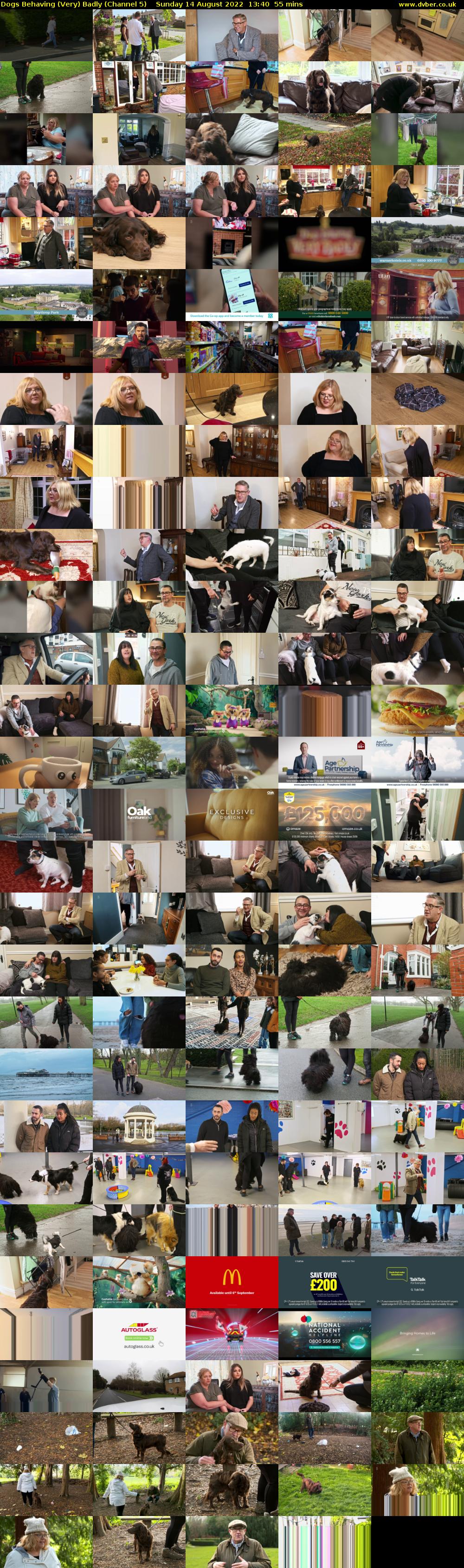 Dogs Behaving (Very) Badly (Channel 5) Sunday 14 August 2022 13:40 - 14:35