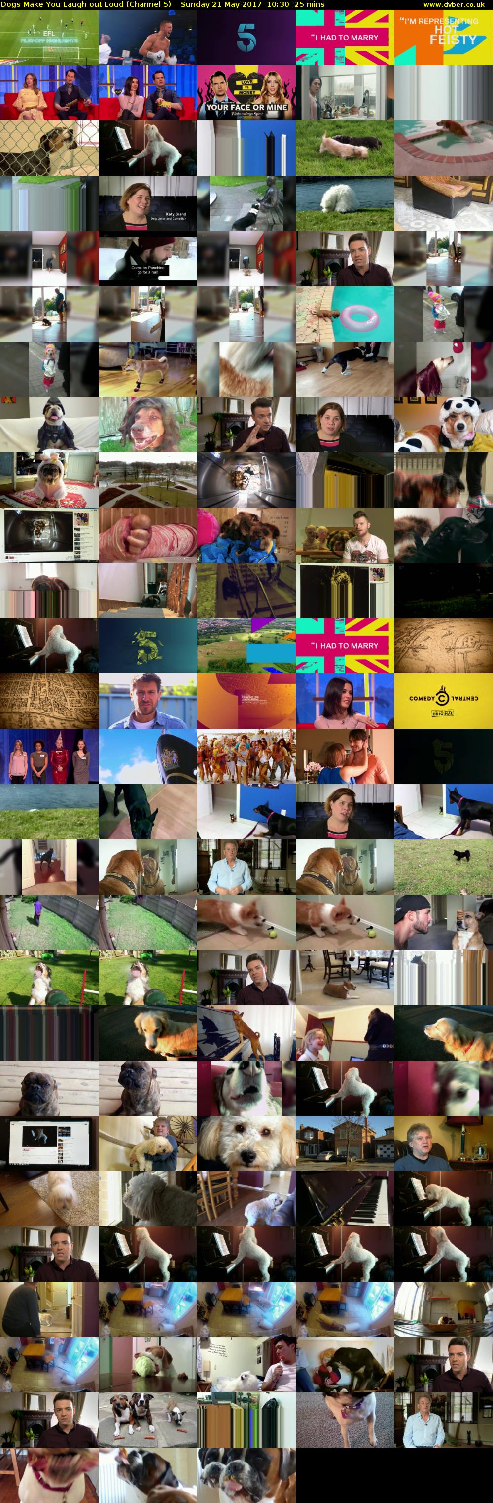 Dogs Make You Laugh out Loud (Channel 5) Sunday 21 May 2017 10:30 - 10:55
