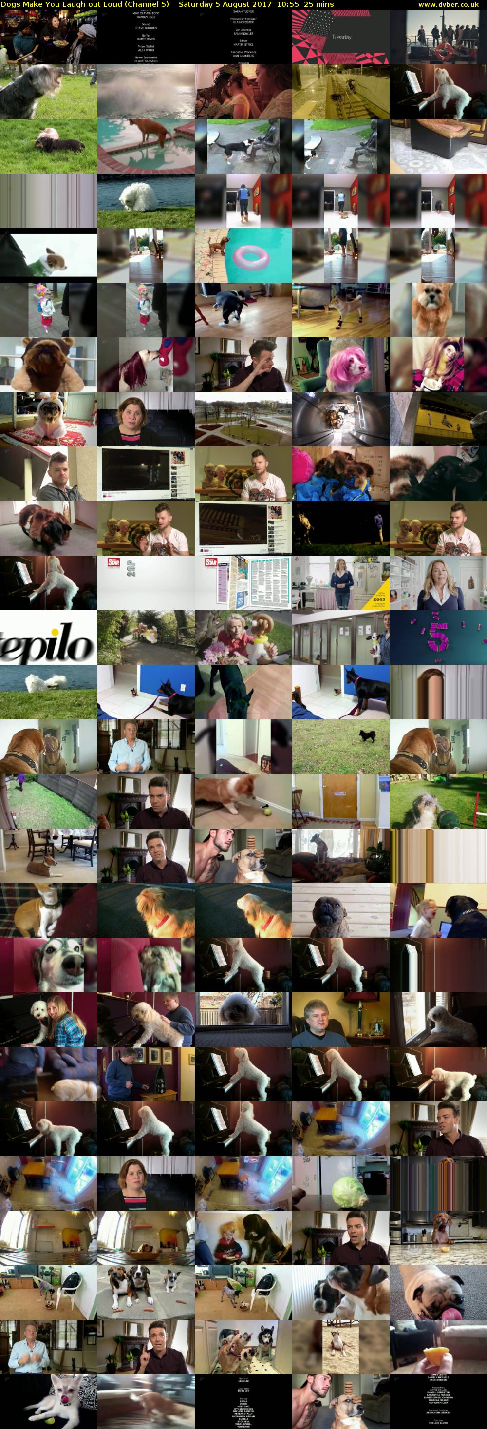 Dogs Make You Laugh out Loud (Channel 5) Saturday 5 August 2017 10:55 - 11:20