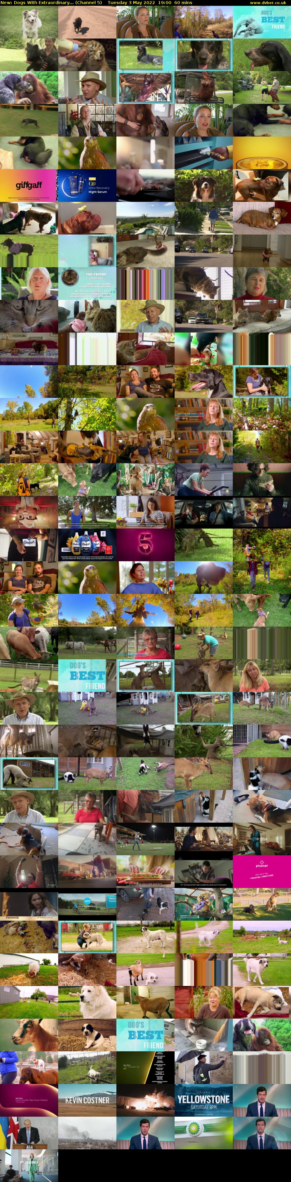Dogs With Extraordinary... (Channel 5) Tuesday 3 May 2022 19:00 - 20:00