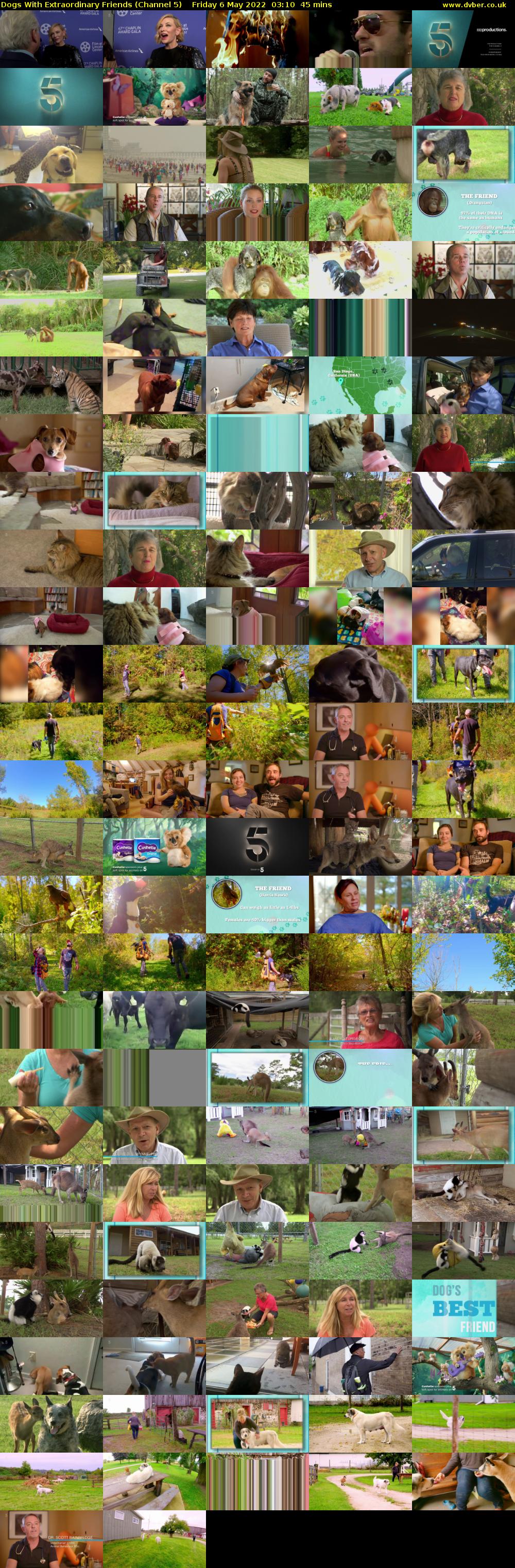 Dogs With Extraordinary Friends (Channel 5) Friday 6 May 2022 03:10 - 03:55