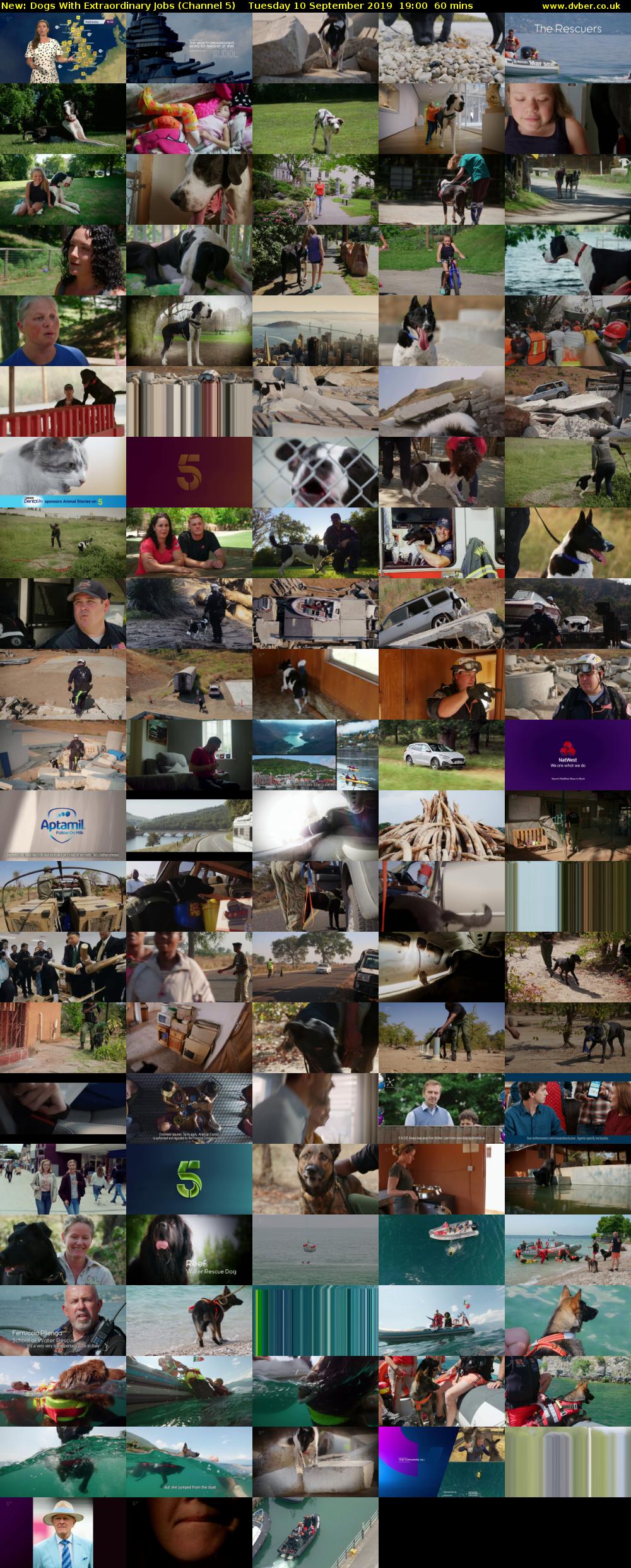 Dogs With Extraordinary Jobs (Channel 5) Tuesday 10 September 2019 19:00 - 20:00