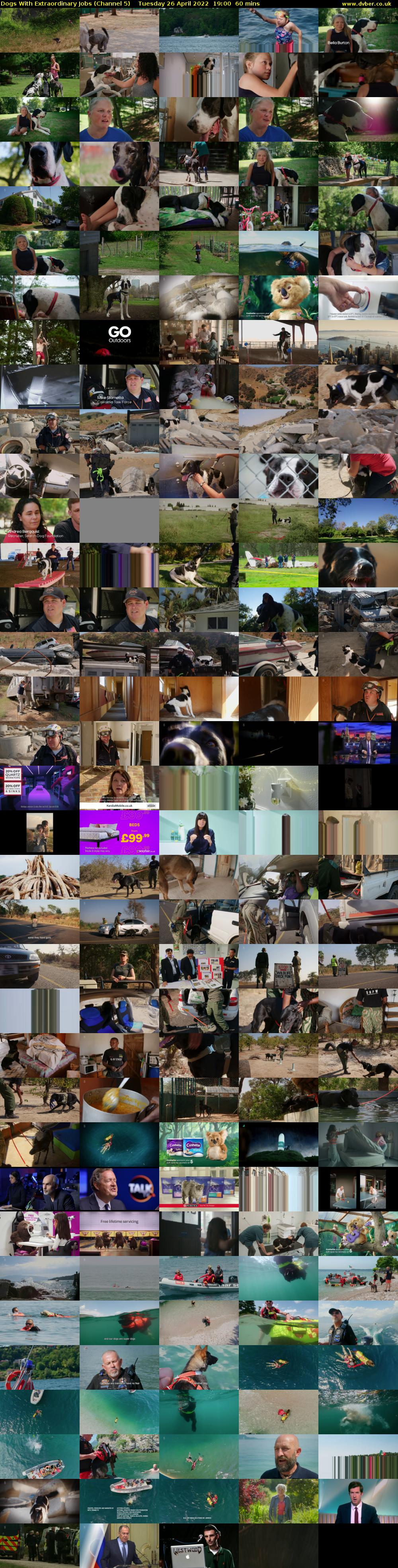 Dogs With Extraordinary Jobs (Channel 5) Tuesday 26 April 2022 19:00 - 20:00
