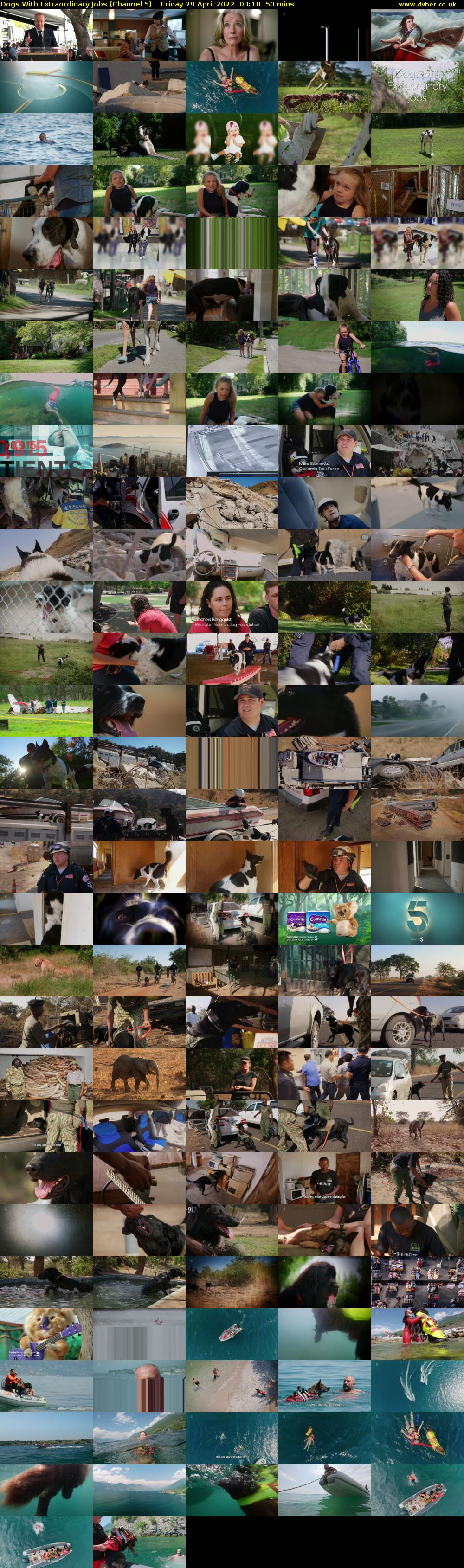 Dogs With Extraordinary Jobs (Channel 5) Friday 29 April 2022 03:10 - 04:00