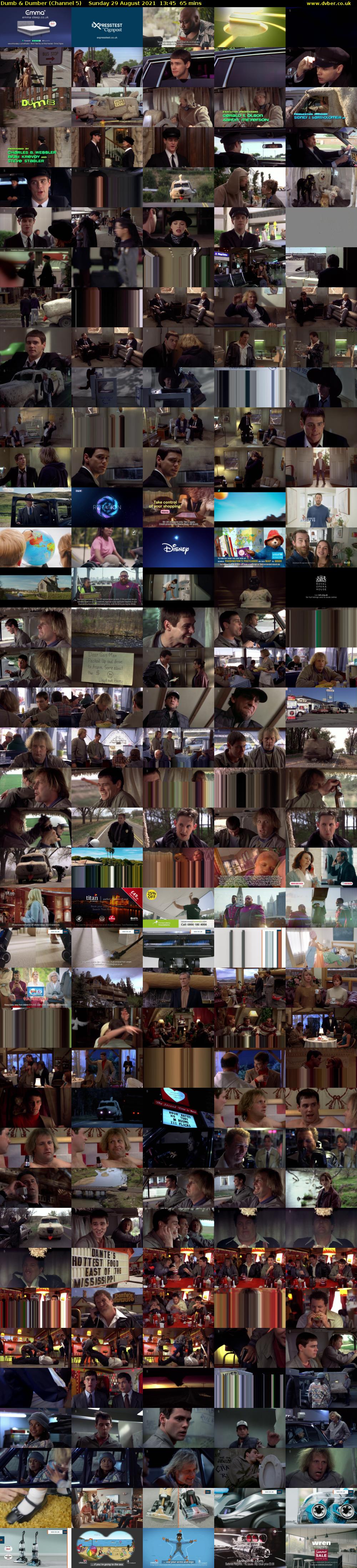 Dumb & Dumber (Channel 5) Sunday 29 August 2021 13:45 - 14:50