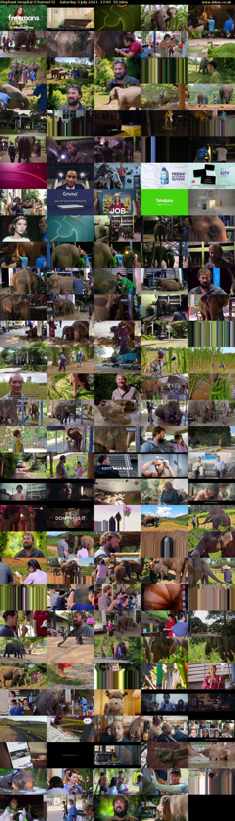 Elephant Hospital (Channel 5) Saturday 3 July 2021 17:05 - 18:00