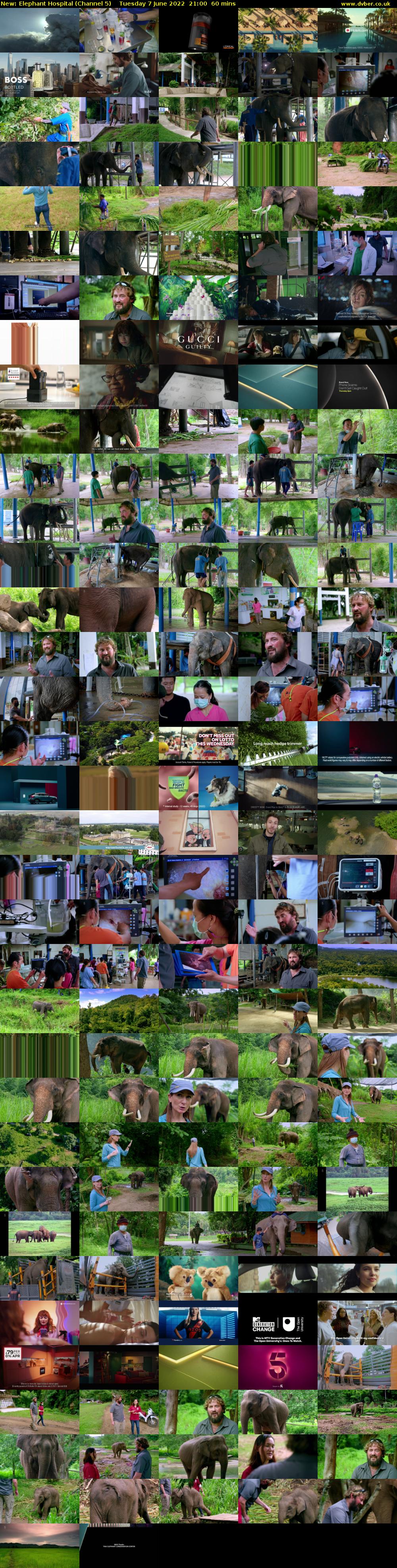 Elephant Hospital (Channel 5) Tuesday 7 June 2022 21:00 - 22:00