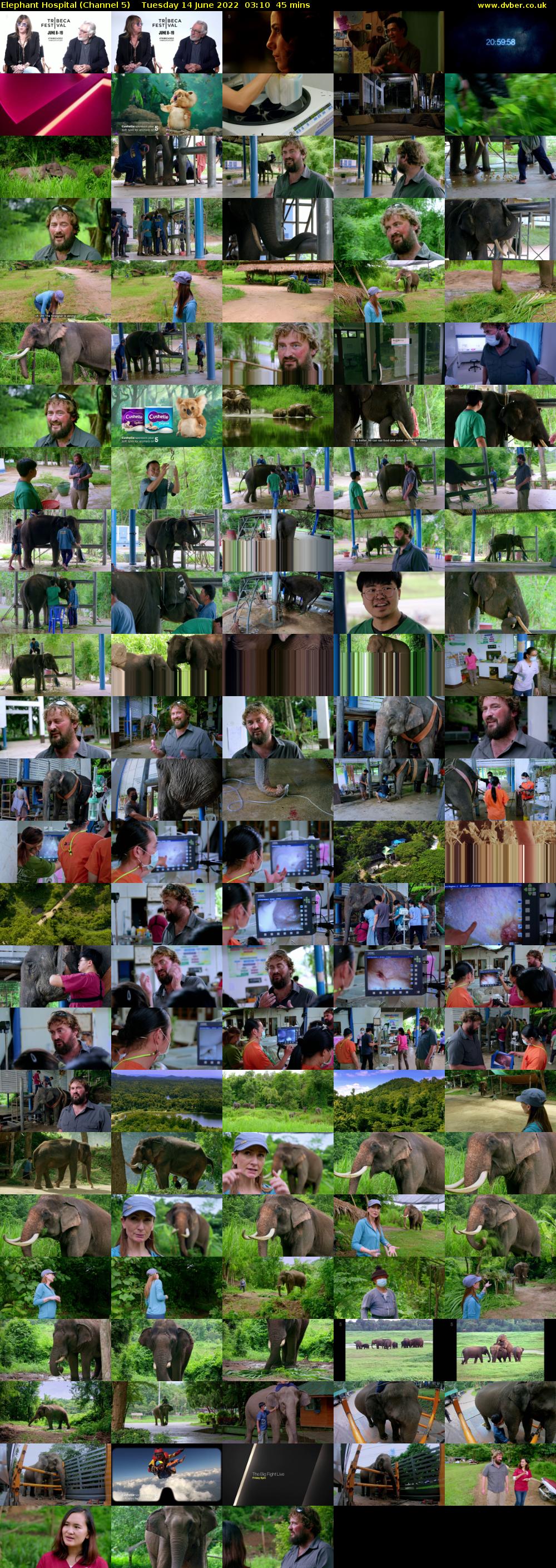 Elephant Hospital (Channel 5) Tuesday 14 June 2022 03:10 - 03:55