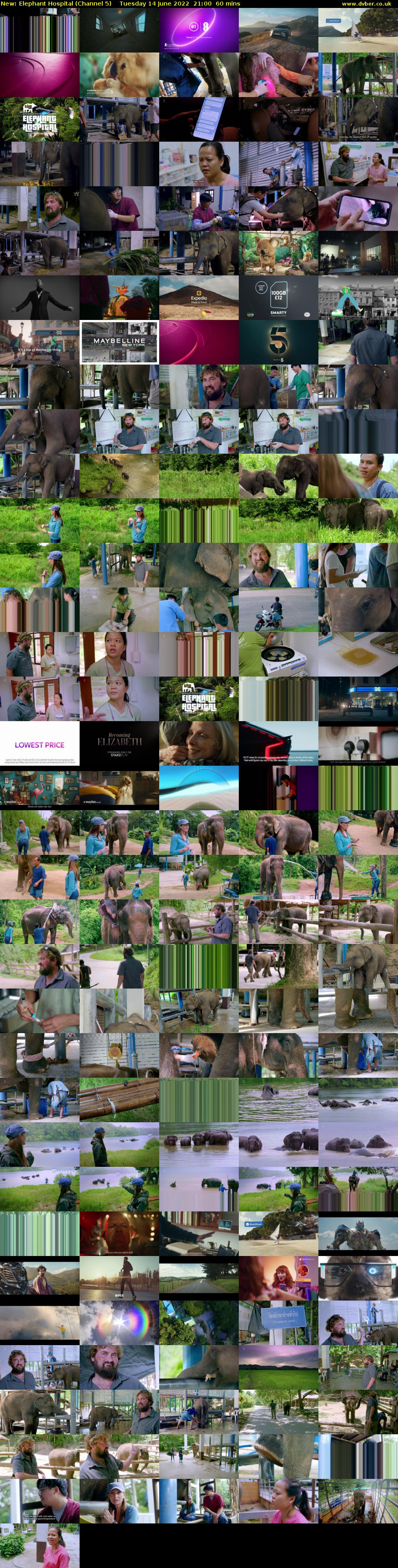 Elephant Hospital (Channel 5) Tuesday 14 June 2022 21:00 - 22:00