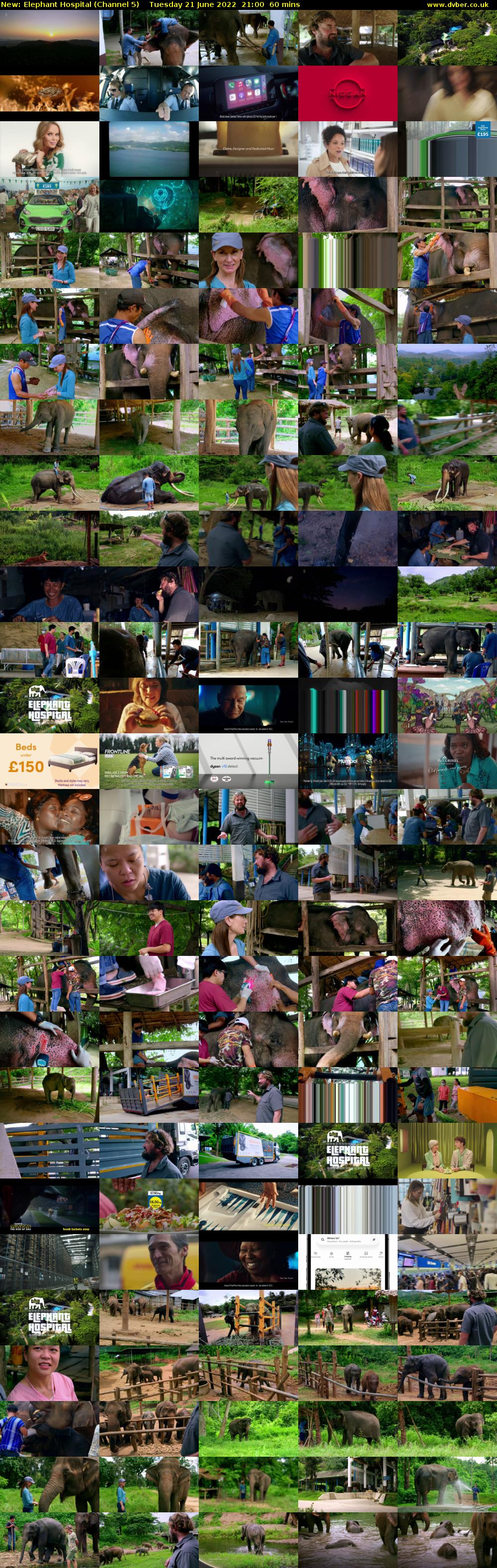 Elephant Hospital (Channel 5) Tuesday 21 June 2022 21:00 - 22:00