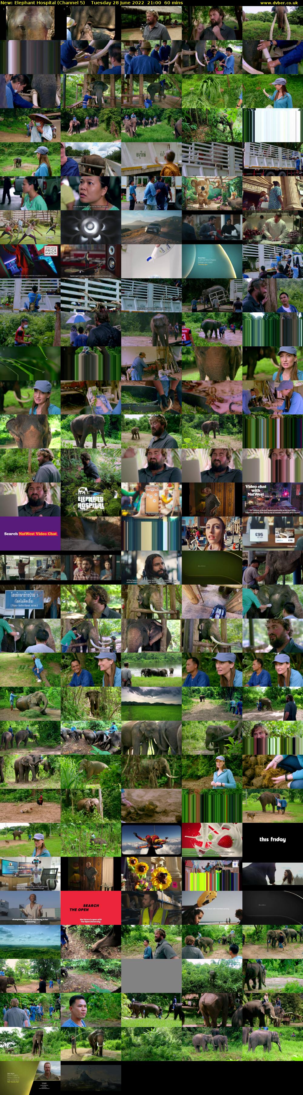 Elephant Hospital (Channel 5) Tuesday 28 June 2022 21:00 - 22:00