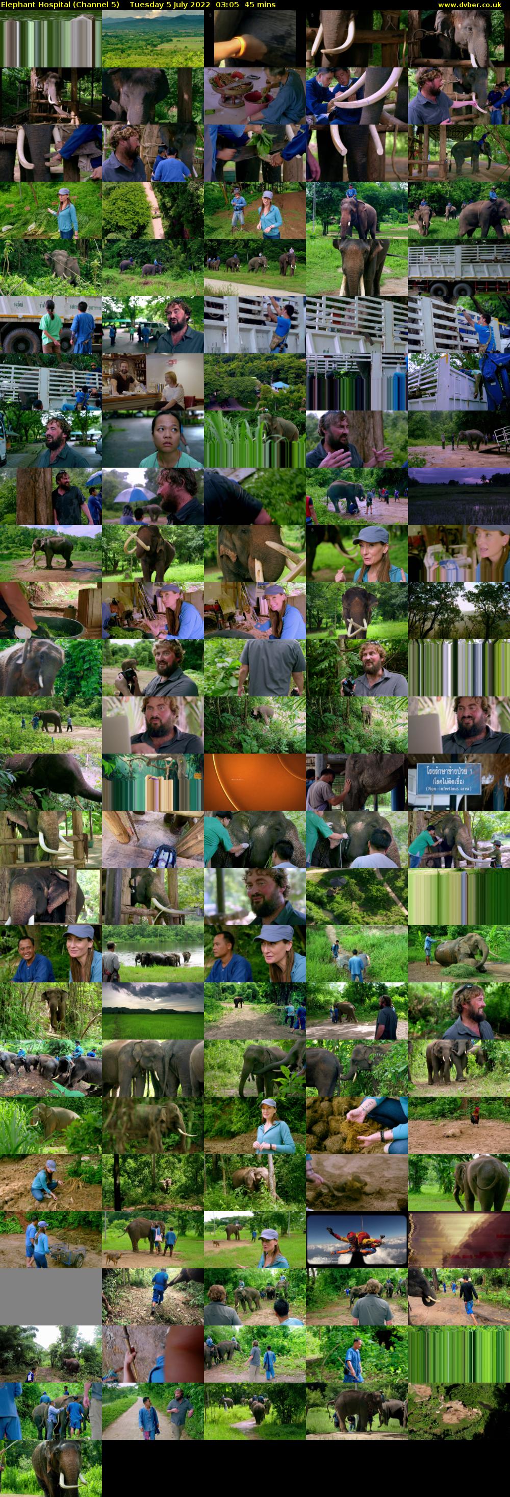 Elephant Hospital (Channel 5) Tuesday 5 July 2022 03:05 - 03:50