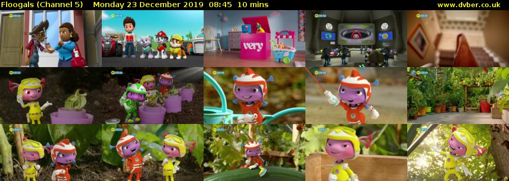 Floogals (Channel 5) Monday 23 December 2019 08:45 - 08:55