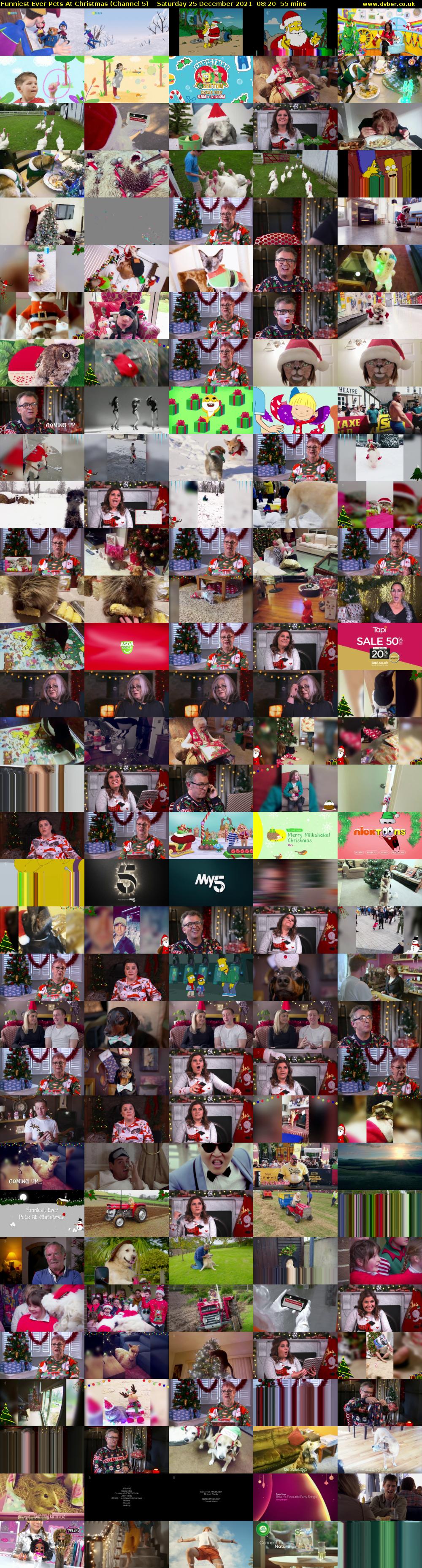 Funniest Ever Pets At Christmas (Channel 5) Saturday 25 December 2021 08:20 - 09:15