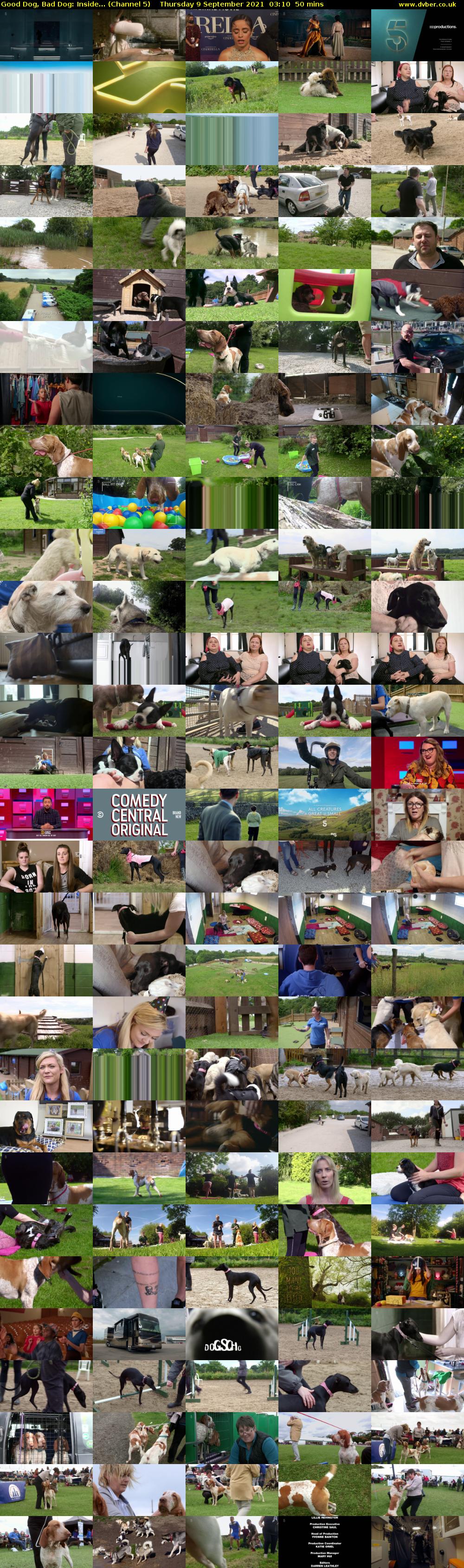 Good Dog, Bad Dog: Inside... (Channel 5) Thursday 9 September 2021 03:10 - 04:00