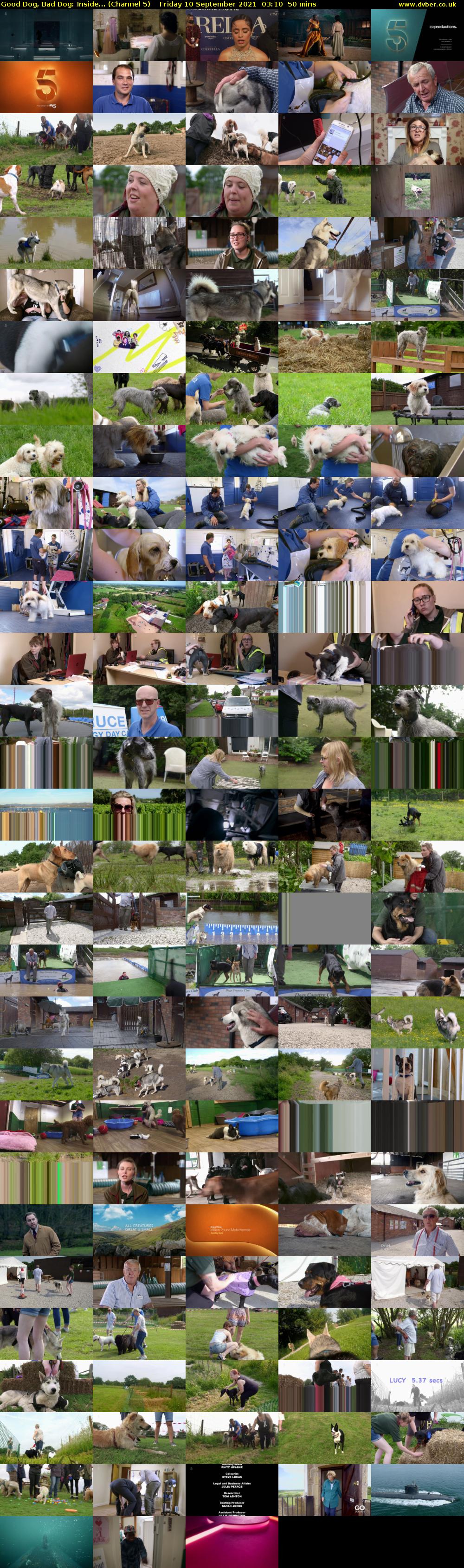 Good Dog, Bad Dog: Inside... (Channel 5) Friday 10 September 2021 03:10 - 04:00