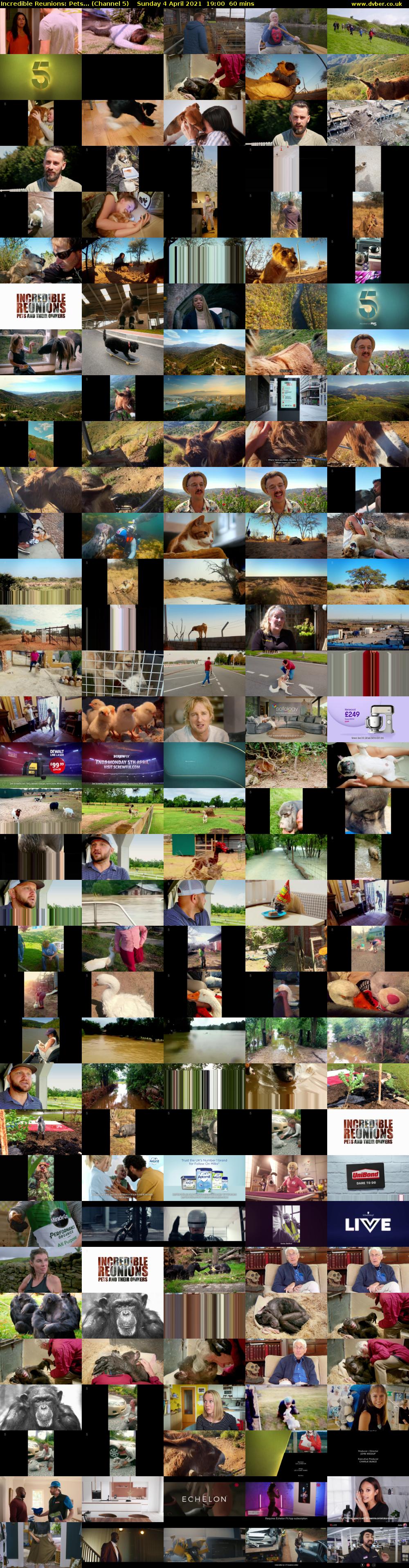 Incredible Reunions: Pets... (Channel 5) Sunday 4 April 2021 19:00 - 20:00
