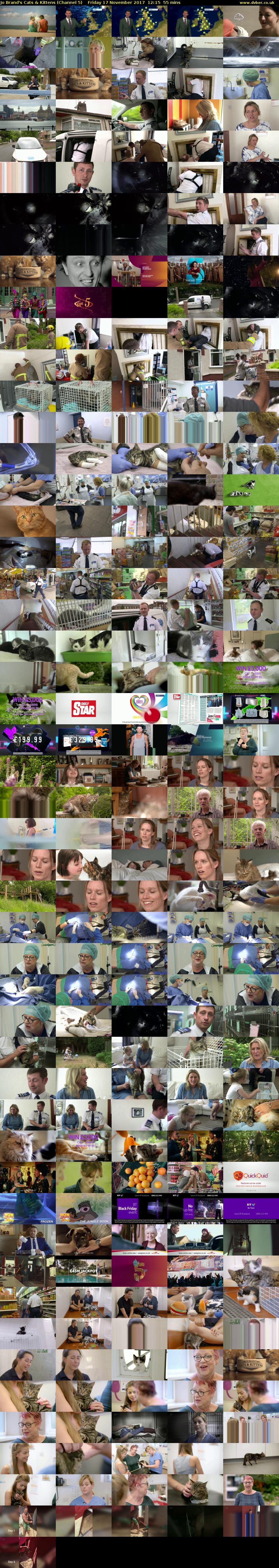 Jo Brand's Cats & Kittens (Channel 5) Friday 17 November 2017 12:15 - 13:10