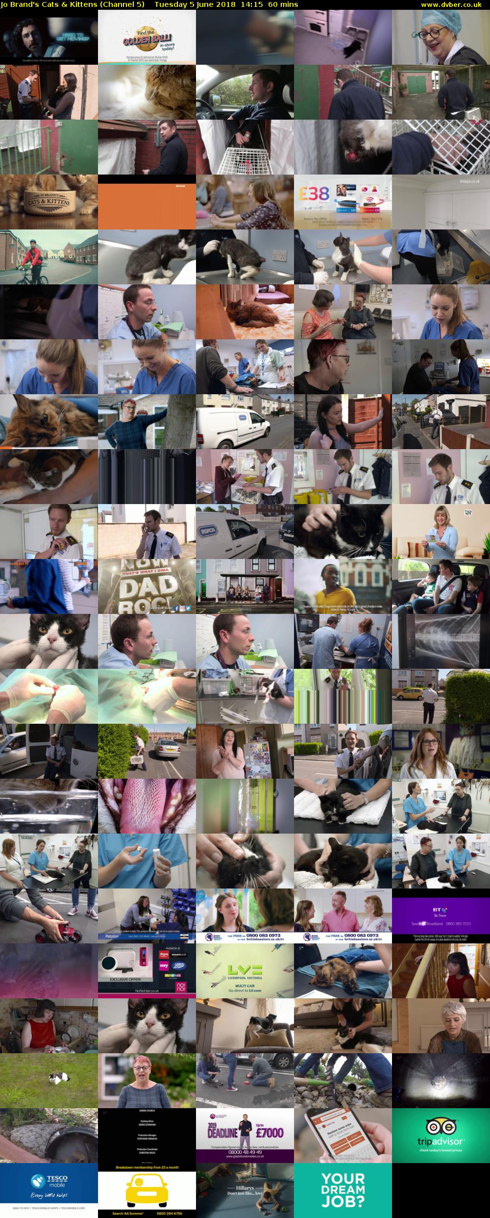 Jo Brand's Cats & Kittens (Channel 5) Tuesday 5 June 2018 14:15 - 15:15