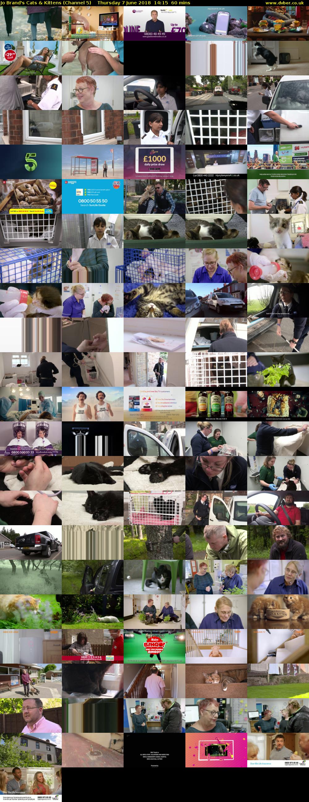 Jo Brand's Cats & Kittens (Channel 5) Thursday 7 June 2018 14:15 - 15:15