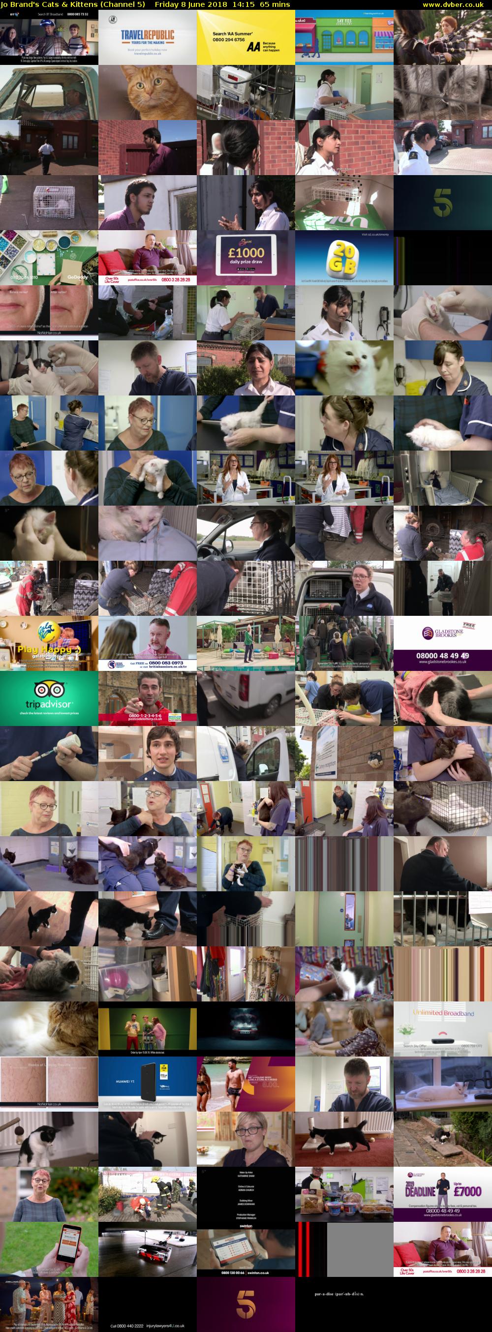 Jo Brand's Cats & Kittens (Channel 5) Friday 8 June 2018 14:15 - 15:20