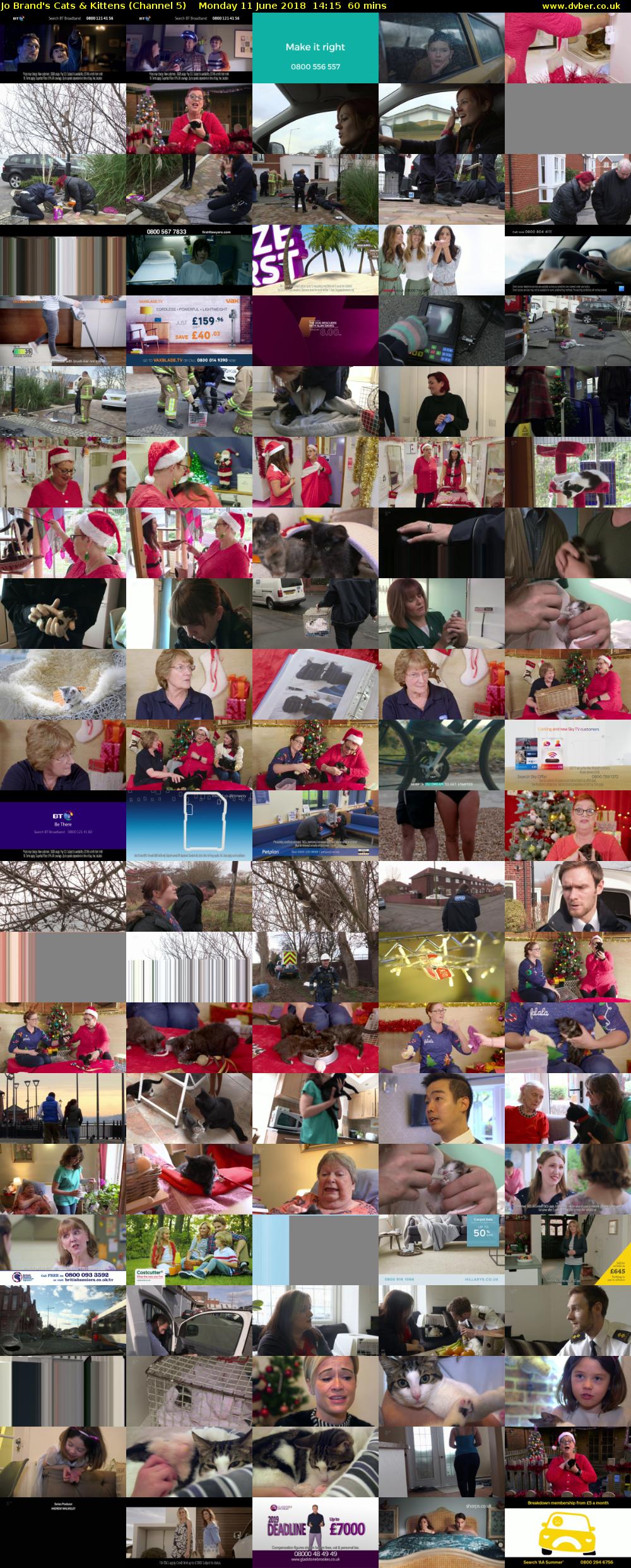 Jo Brand's Cats & Kittens (Channel 5) Monday 11 June 2018 14:15 - 15:15