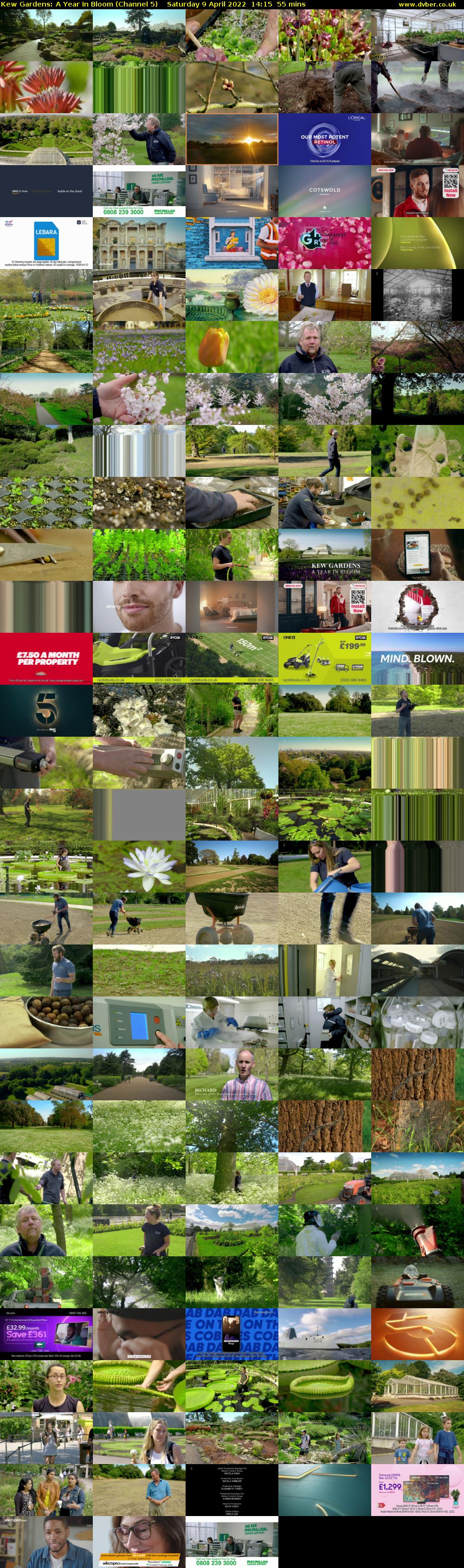 Kew Gardens: A Year In Bloom (Channel 5) Saturday 9 April 2022 14:15 - 15:10