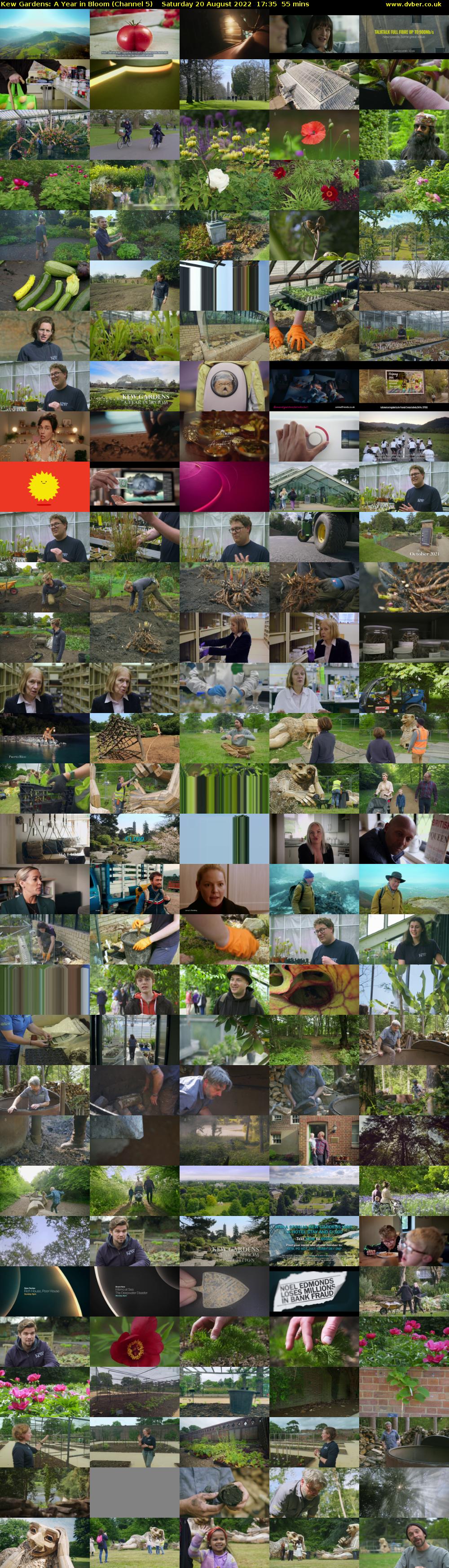Kew Gardens: A Year in Bloom (Channel 5) Saturday 20 August 2022 17:35 - 18:30