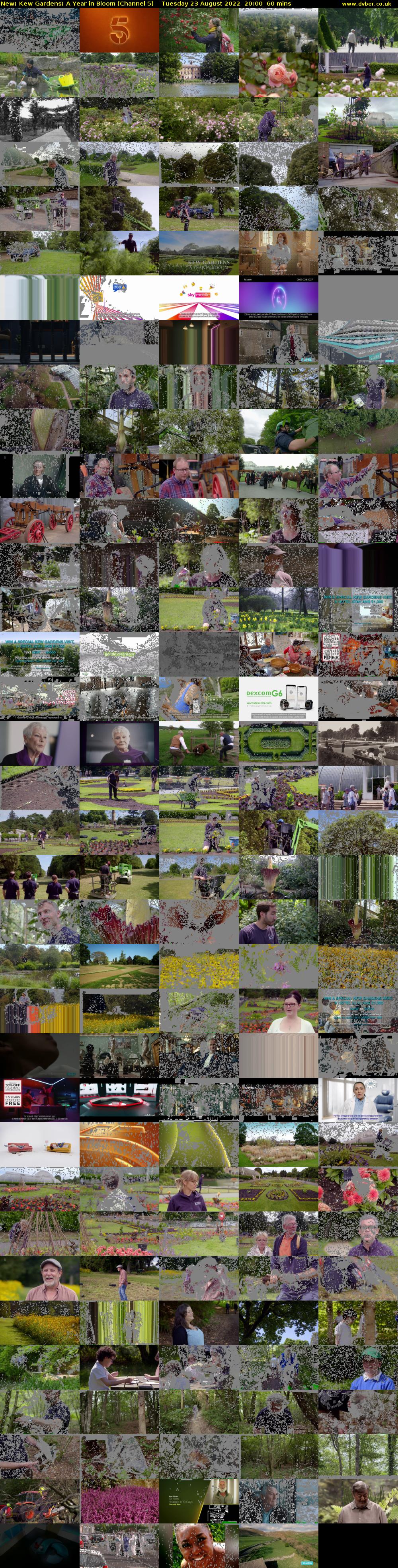 Kew Gardens: A Year in Bloom (Channel 5) Tuesday 23 August 2022 20:00 - 21:00