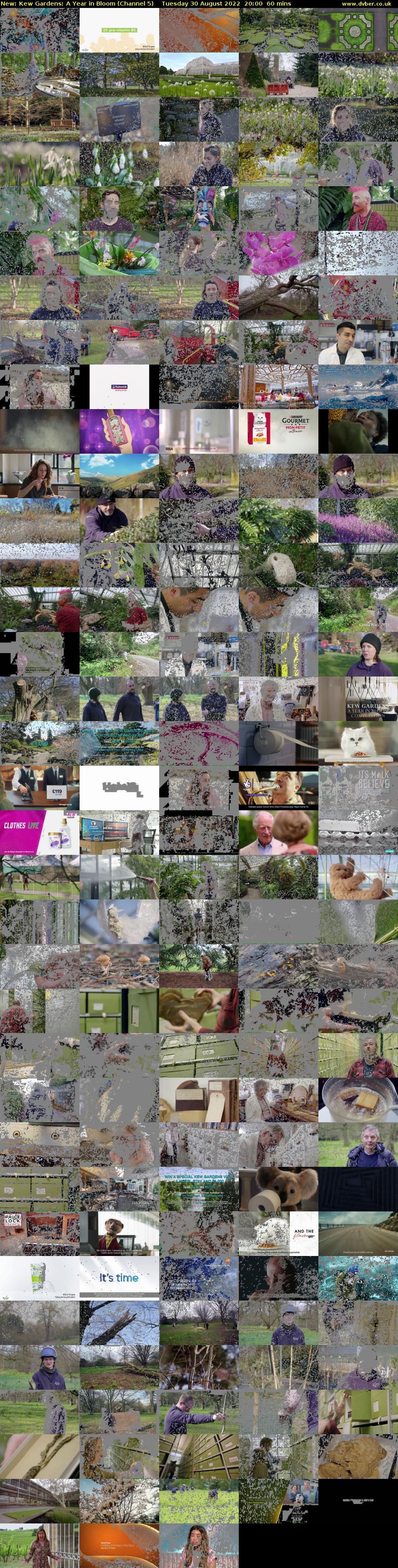 Kew Gardens: A Year in Bloom (Channel 5) Tuesday 30 August 2022 20:00 - 21:00