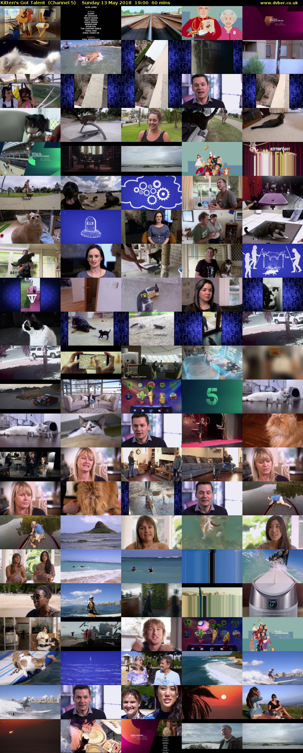 Kitten's Got Talent  (Channel 5) Sunday 13 May 2018 19:00 - 20:00