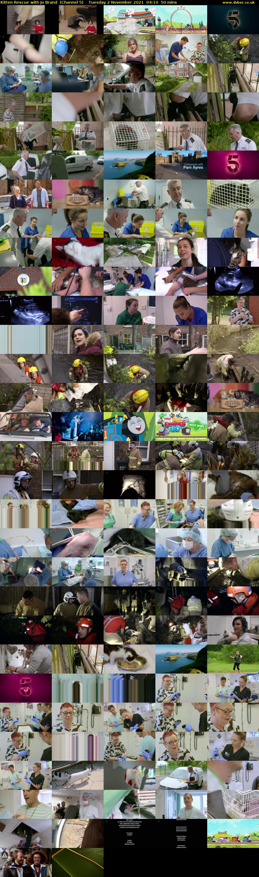Kitten Rescue with Jo Brand  (Channel 5) Tuesday 2 November 2021 04:10 - 05:00