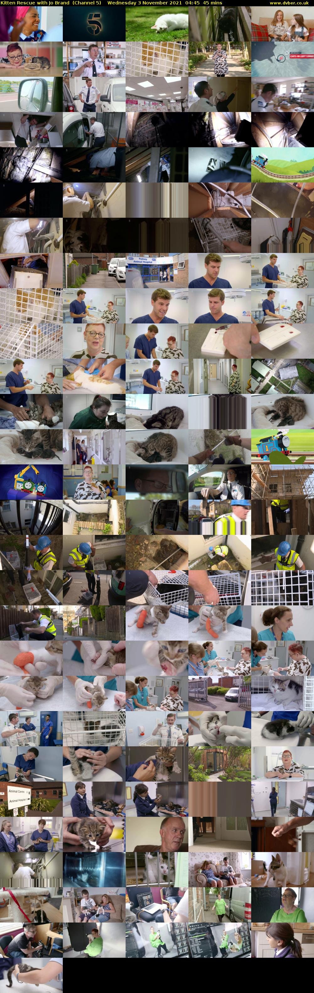 Kitten Rescue with Jo Brand  (Channel 5) Wednesday 3 November 2021 04:45 - 05:30