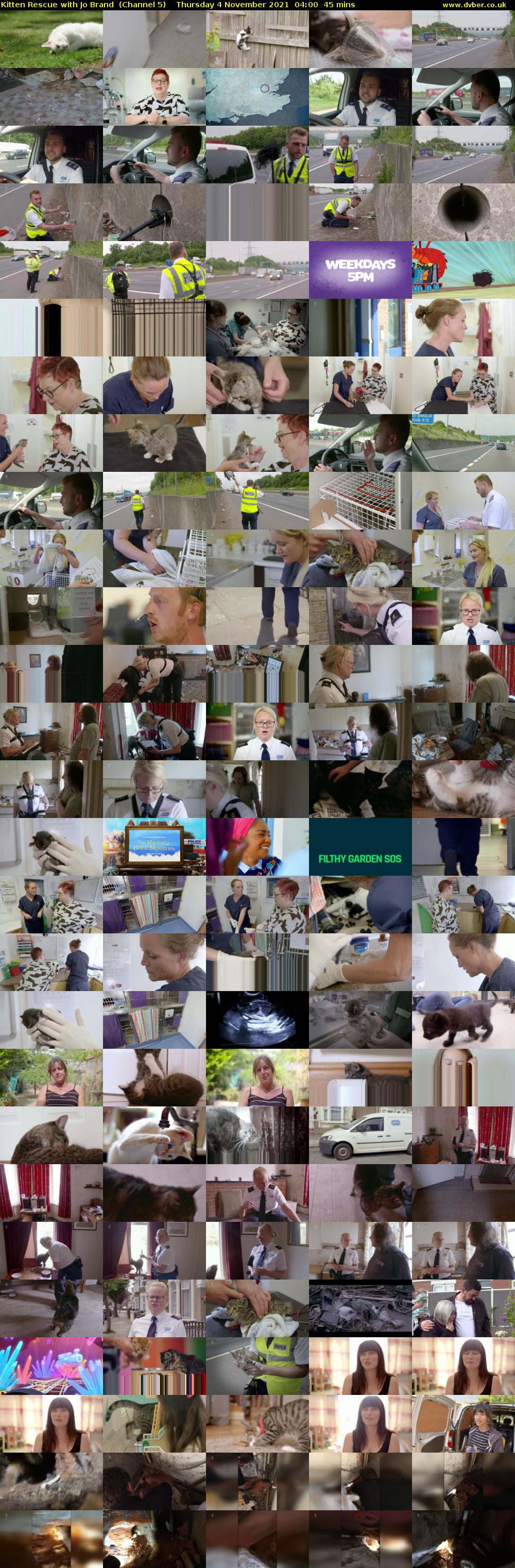 Kitten Rescue with Jo Brand  (Channel 5) Thursday 4 November 2021 04:00 - 04:45