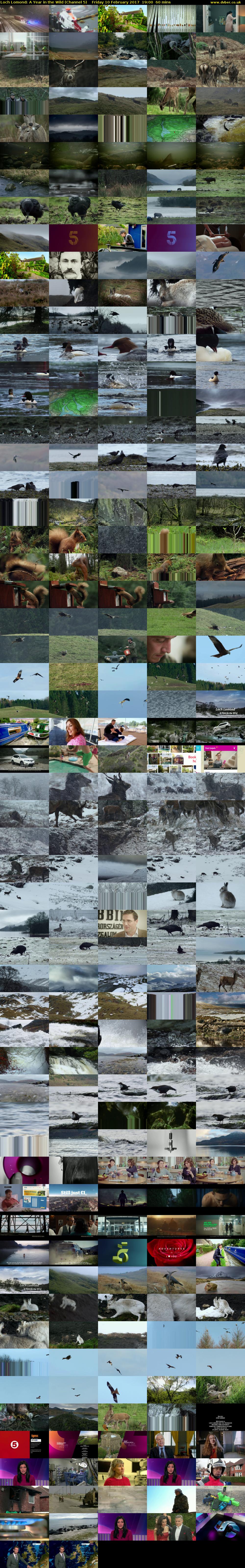 Loch Lomond: A Year in the Wild (Channel 5) Friday 10 February 2017 19:00 - 20:00