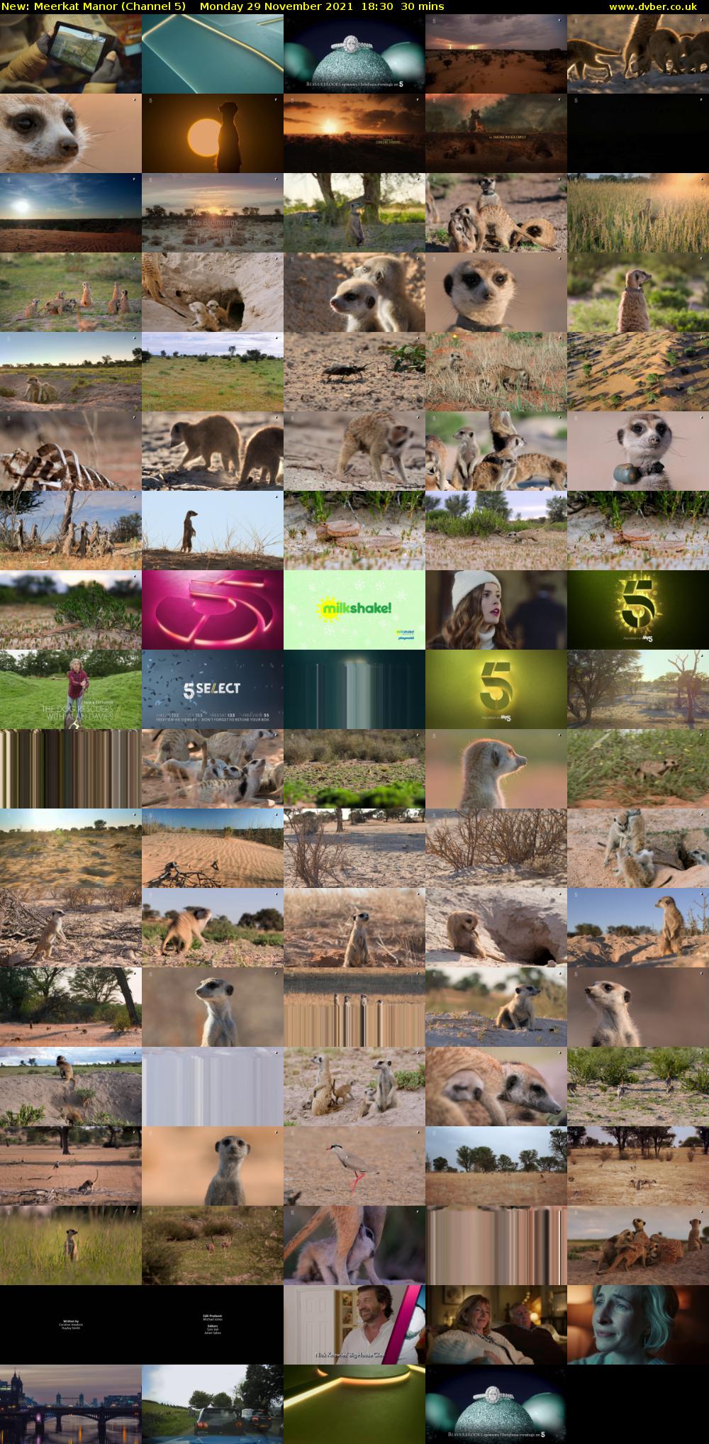 Meerkat Manor (Channel 5) Monday 29 November 2021 18:30 - 19:00