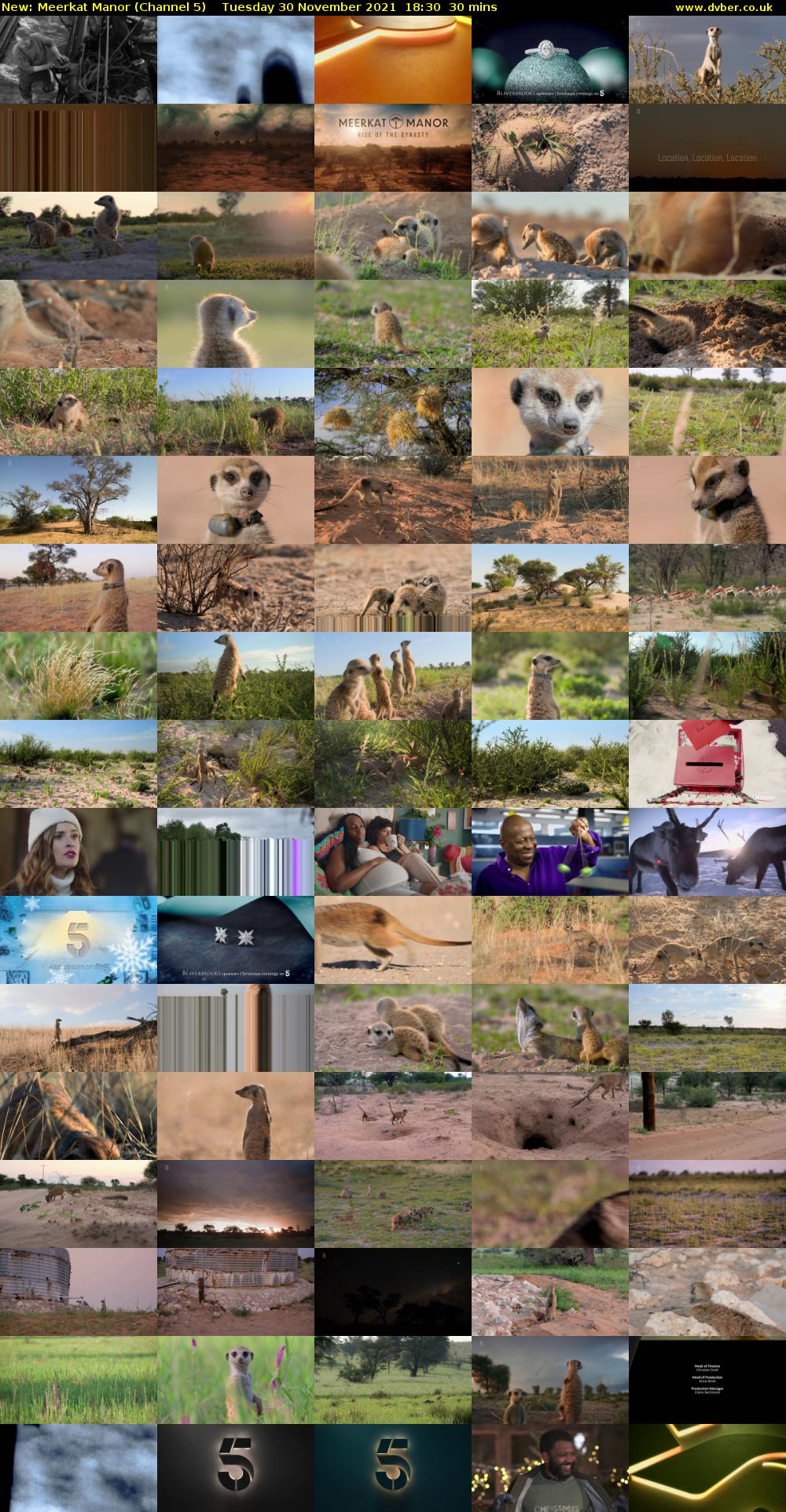 Meerkat Manor (Channel 5) Tuesday 30 November 2021 18:30 - 19:00