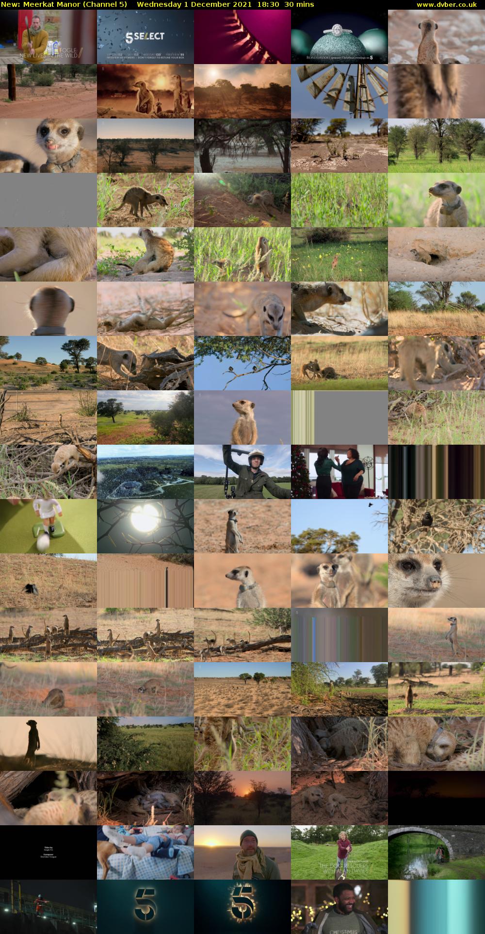 Meerkat Manor (Channel 5) Wednesday 1 December 2021 18:30 - 19:00