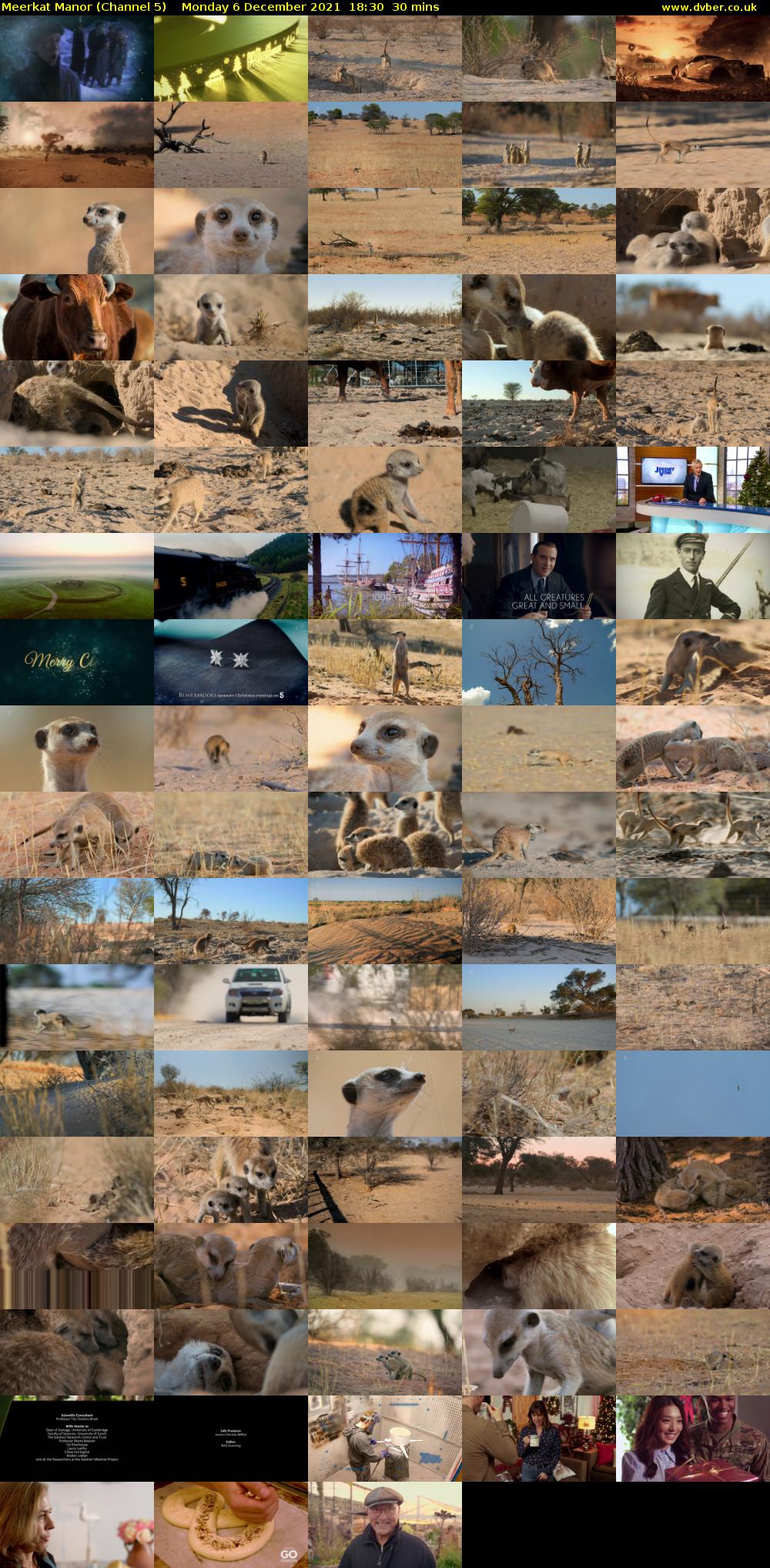 Meerkat Manor (Channel 5) Monday 6 December 2021 18:30 - 19:00
